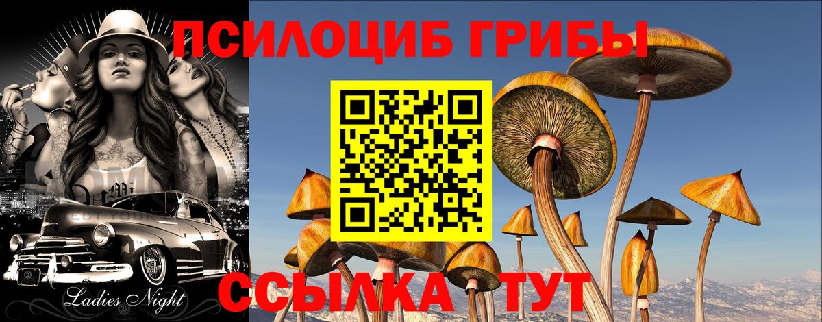 Псилоцибиновые грибы прущие грибы  Вход с VPN  наркошоп  Псилоцибиновые грибы Psilocybe  Усть-Джегута 