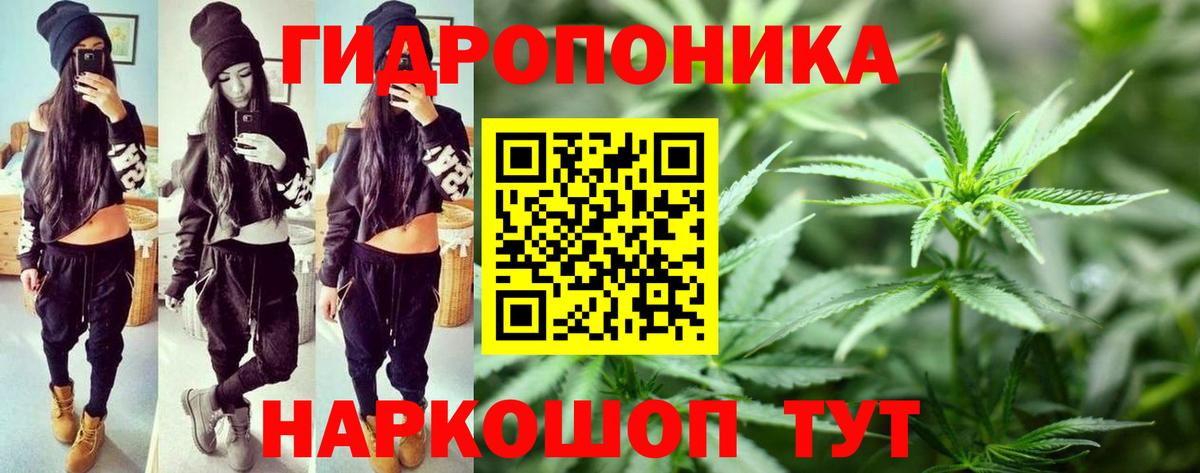 Марихуана Bruce Banner  Бошки марихуана индика  Марихуана конопля  Усть-Джегута  Вход с VPN 